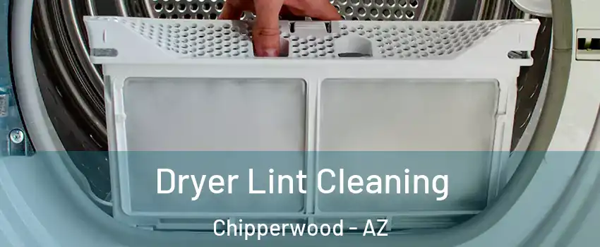 Dryer Lint Cleaning Chipperwood - AZ