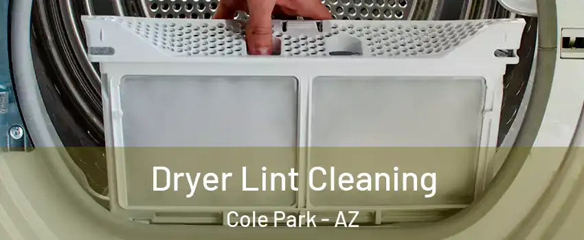 Dryer Lint Cleaning Cole Park - AZ