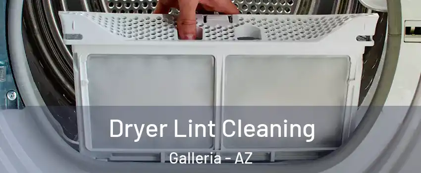 Dryer Lint Cleaning Galleria - AZ