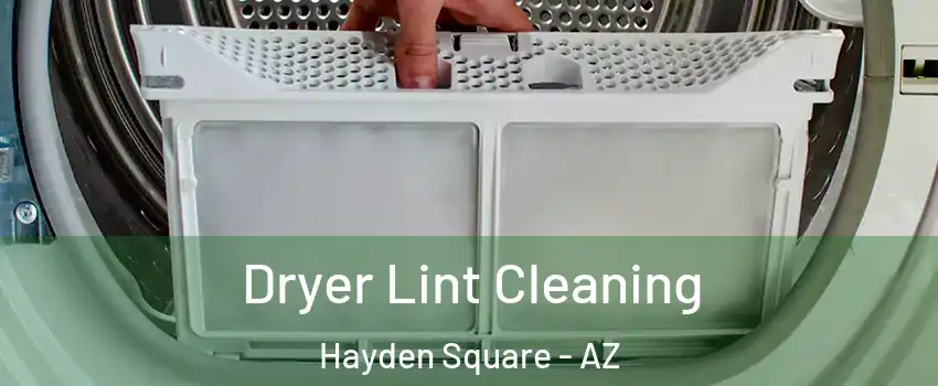 Dryer Lint Cleaning Hayden Square - AZ