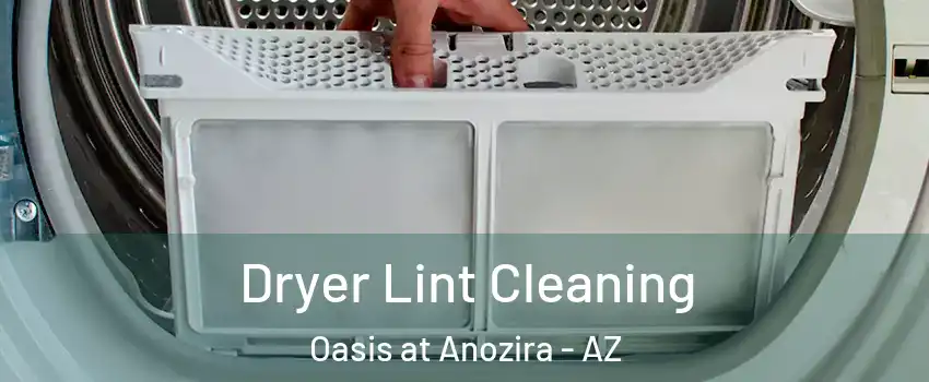 Dryer Lint Cleaning Oasis at Anozira - AZ