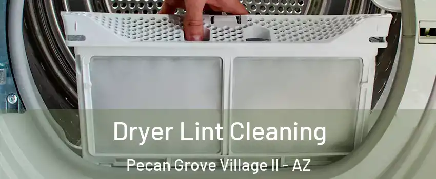 Dryer Lint Cleaning Pecan Grove Village II - AZ