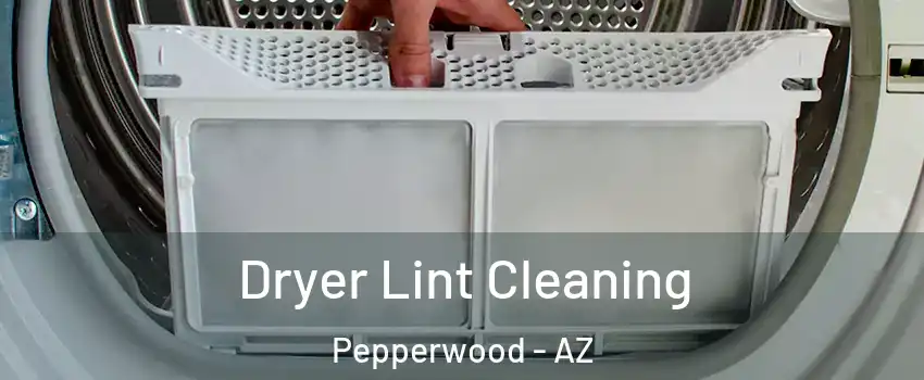 Dryer Lint Cleaning Pepperwood - AZ