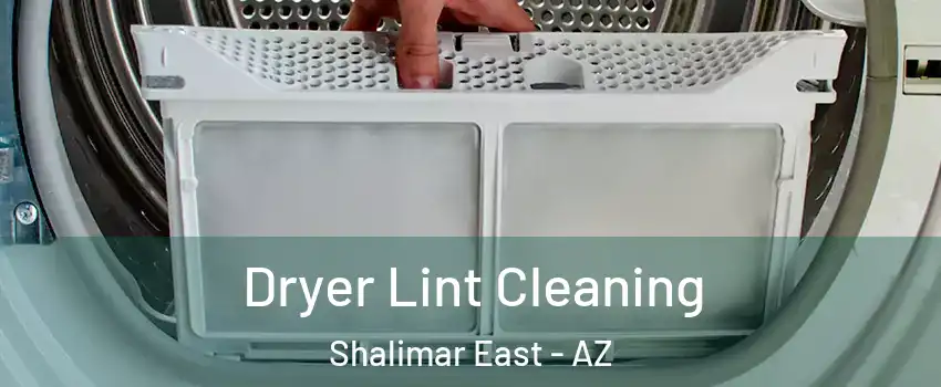 Dryer Lint Cleaning Shalimar East - AZ