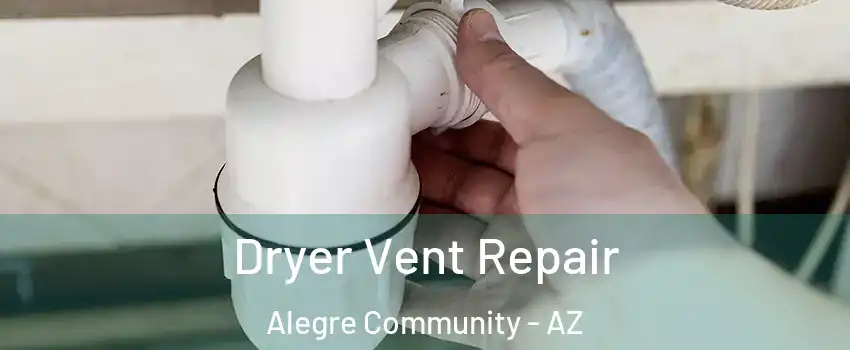 Dryer Vent Repair Alegre Community - AZ