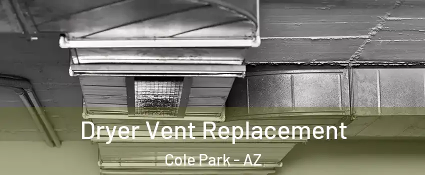 Dryer Vent Replacement Cole Park - AZ