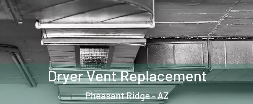 Dryer Vent Replacement Pheasant Ridge - AZ