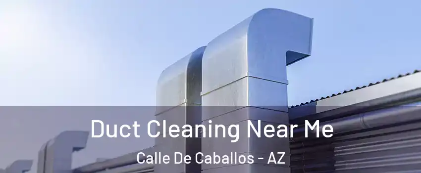 Duct Cleaning Near Me Calle De Caballos - AZ