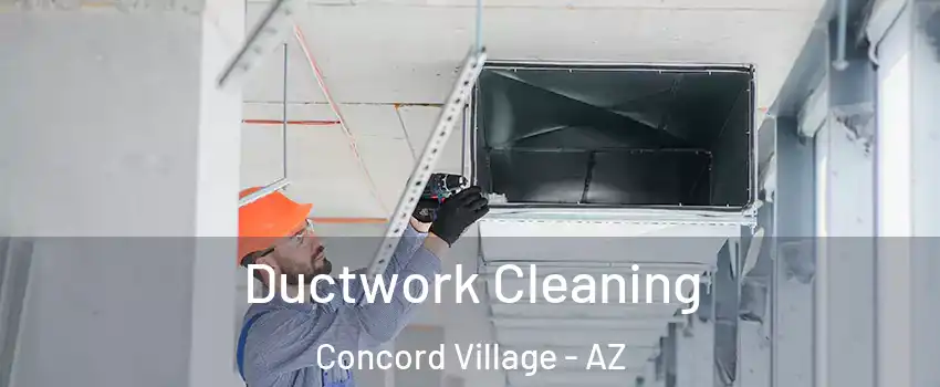 Ductwork Cleaning Concord Village - AZ