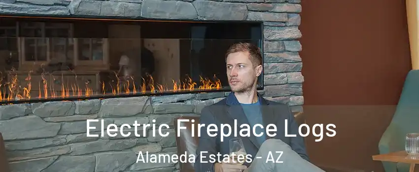 Electric Fireplace Logs Alameda Estates - AZ