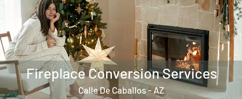 Fireplace Conversion Services Calle De Caballos - AZ