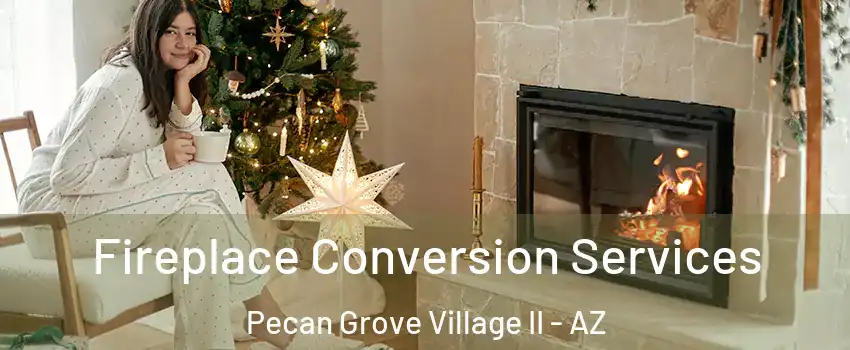 Fireplace Conversion Services Pecan Grove Village II - AZ