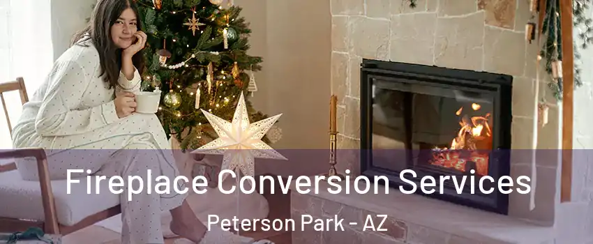 Fireplace Conversion Services Peterson Park - AZ