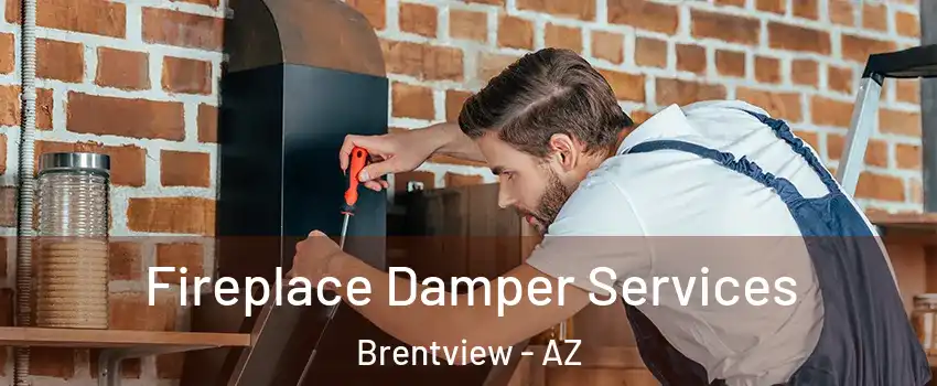 Fireplace Damper Services Brentview - AZ