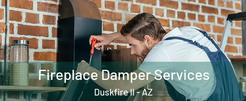 Fireplace Damper Services Duskfire II - AZ