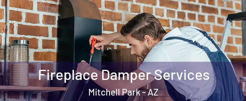 Fireplace Damper Services Mitchell Park - AZ