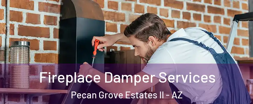 Fireplace Damper Services Pecan Grove Estates II - AZ