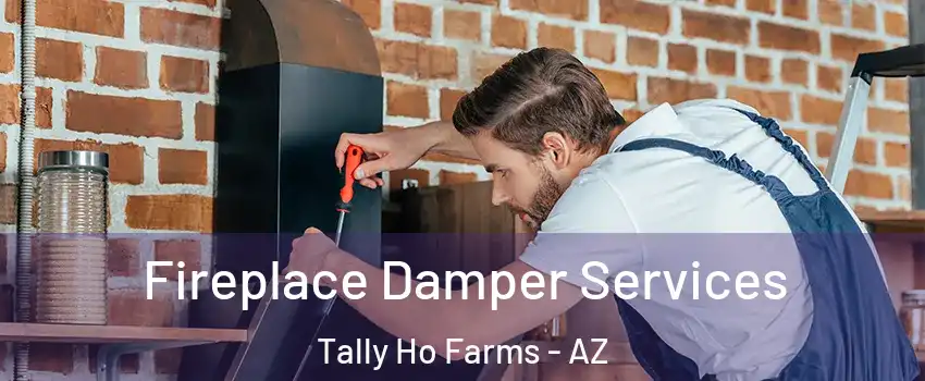 Fireplace Damper Services Tally Ho Farms - AZ