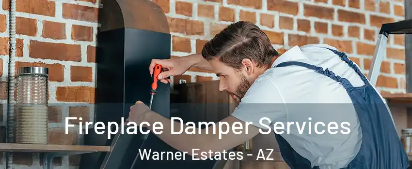 Fireplace Damper Services Warner Estates - AZ