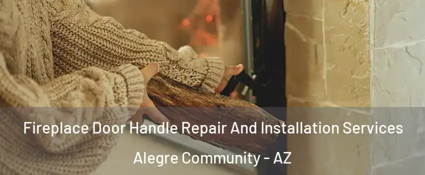 Fireplace Door Handle Repair And Installation Services Alegre Community - AZ