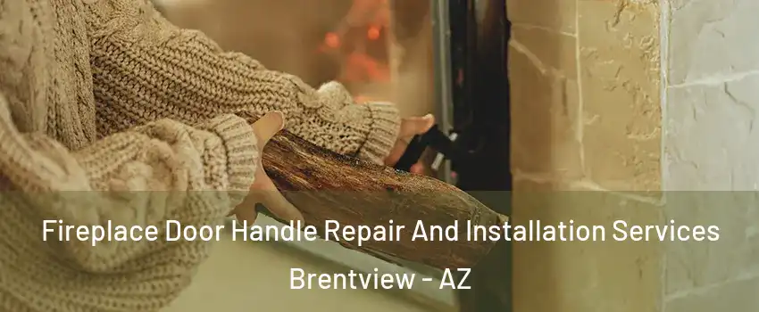 Fireplace Door Handle Repair And Installation Services Brentview - AZ