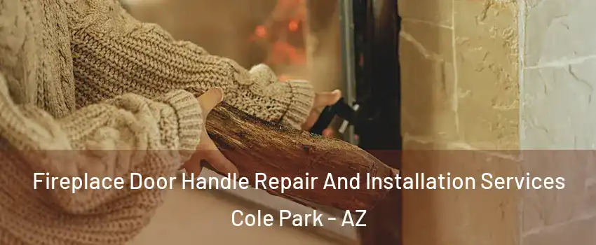 Fireplace Door Handle Repair And Installation Services Cole Park - AZ