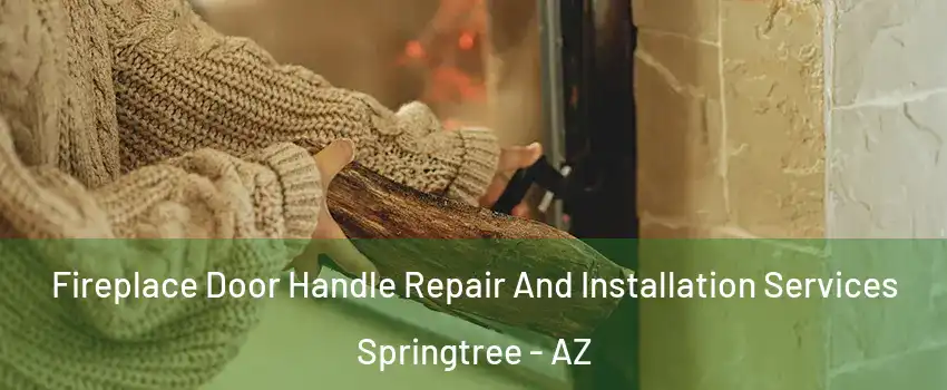 Fireplace Door Handle Repair And Installation Services Springtree - AZ