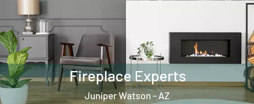 Fireplace Experts Juniper Watson - AZ