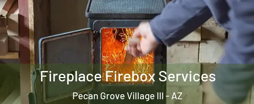 Fireplace Firebox Services Pecan Grove Village III - AZ