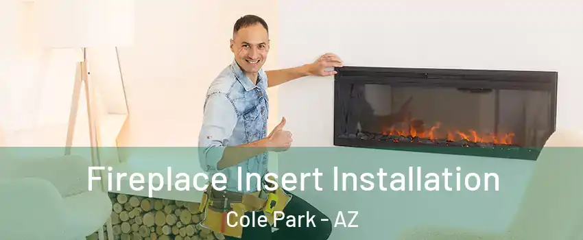 Fireplace Insert Installation Cole Park - AZ