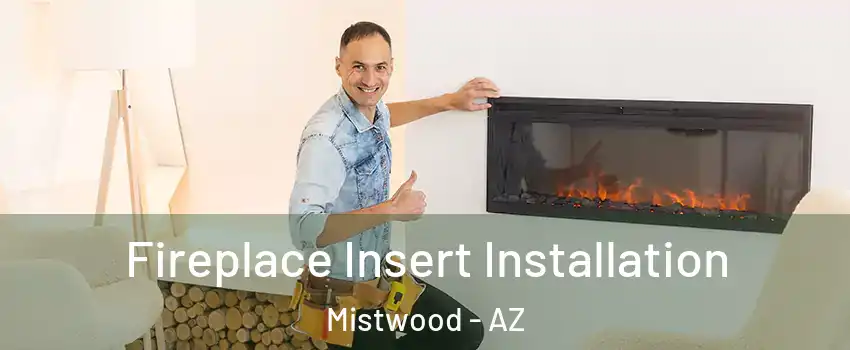 Fireplace Insert Installation Mistwood - AZ