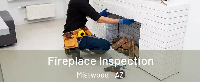 Fireplace Inspection Mistwood - AZ