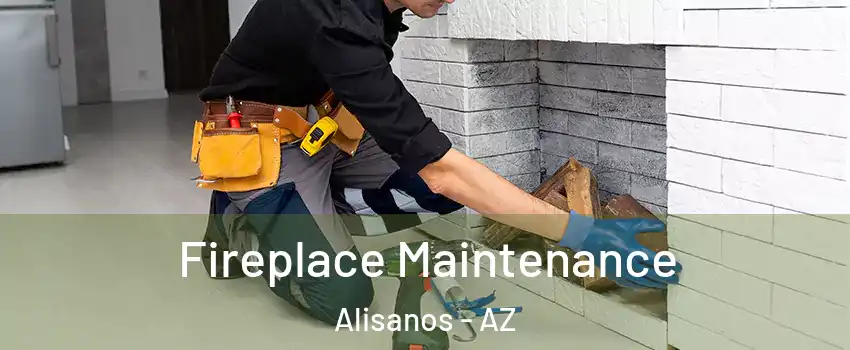 Fireplace Maintenance Alisanos - AZ