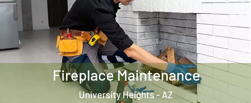 Fireplace Maintenance University Heights - AZ