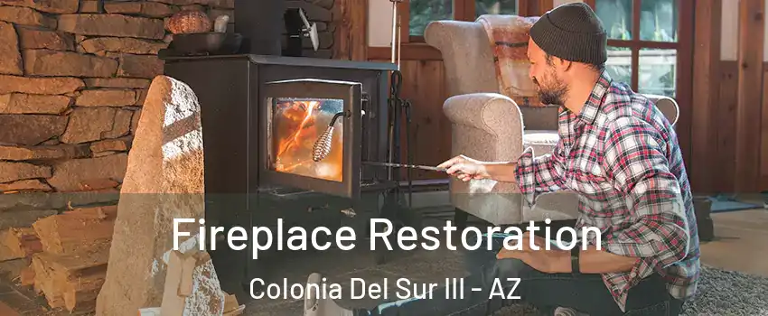 Fireplace Restoration Colonia Del Sur III - AZ