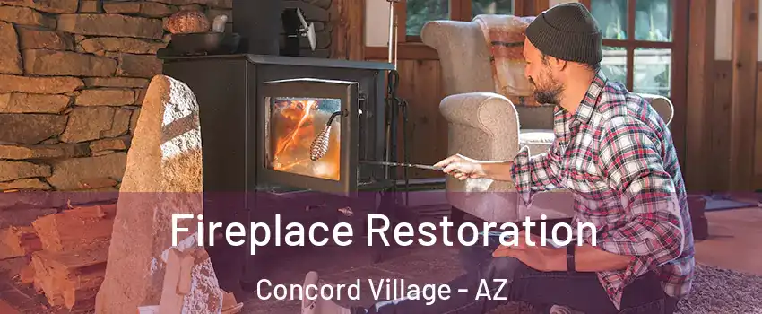 Fireplace Restoration Concord Village - AZ