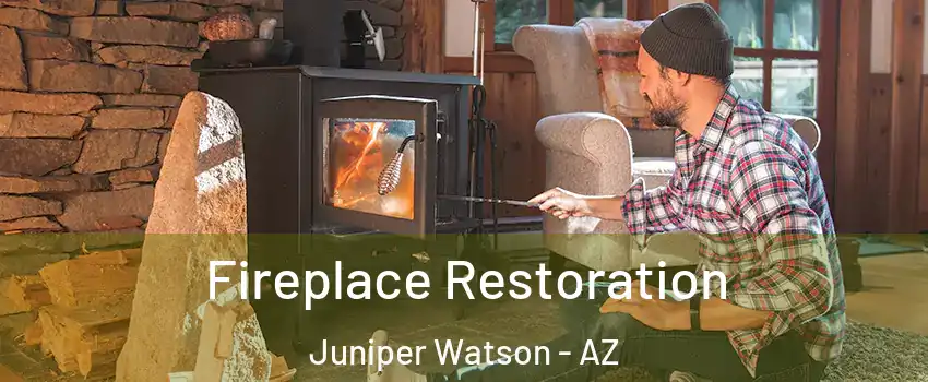 Fireplace Restoration Juniper Watson - AZ