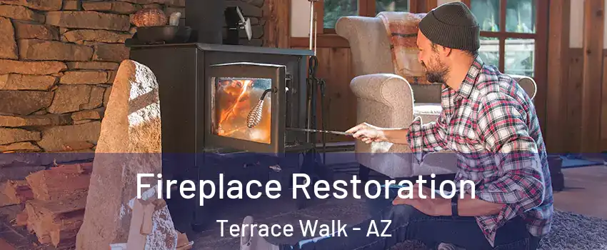 Fireplace Restoration Terrace Walk - AZ