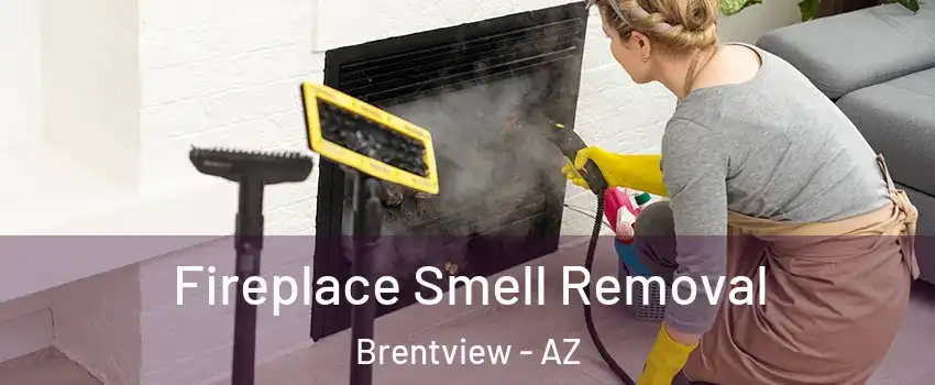 Fireplace Smell Removal Brentview - AZ