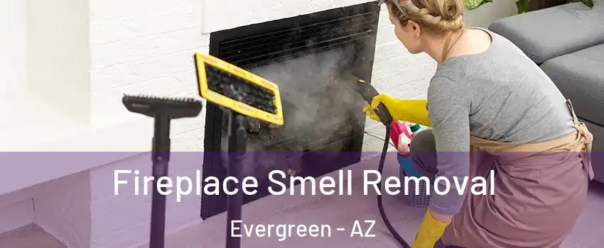 Fireplace Smell Removal Evergreen - AZ