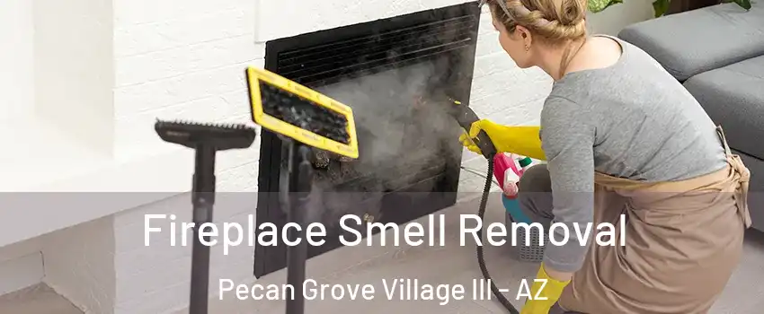 Fireplace Smell Removal Pecan Grove Village III - AZ