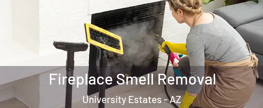 Fireplace Smell Removal University Estates - AZ