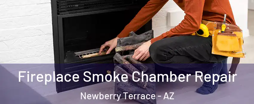 Fireplace Smoke Chamber Repair Newberry Terrace - AZ