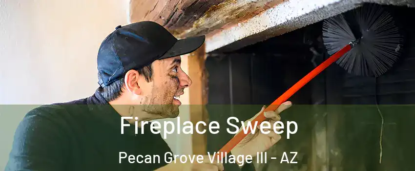 Fireplace Sweep Pecan Grove Village III - AZ