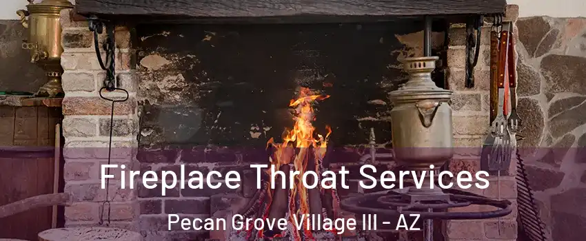 Fireplace Throat Services Pecan Grove Village III - AZ