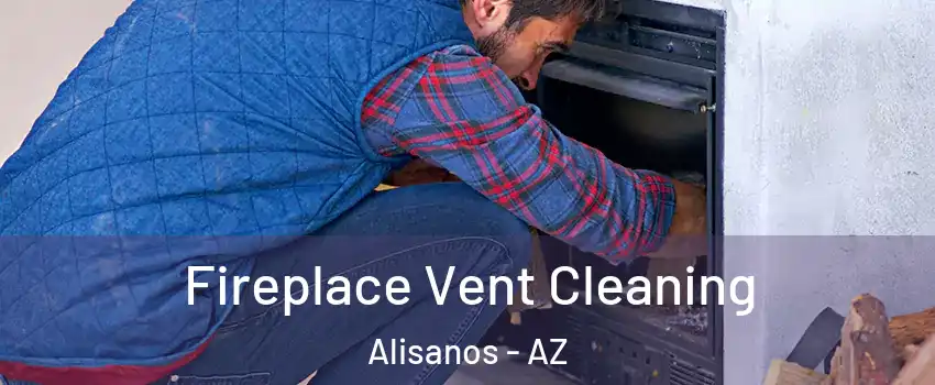 Fireplace Vent Cleaning Alisanos - AZ