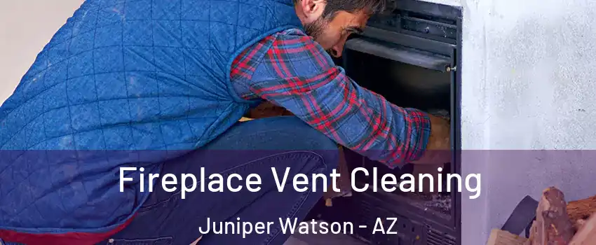 Fireplace Vent Cleaning Juniper Watson - AZ