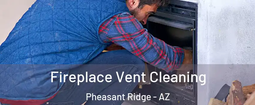 Fireplace Vent Cleaning Pheasant Ridge - AZ