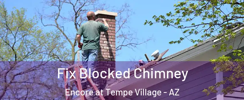 Fix Blocked Chimney Encore at Tempe Village - AZ