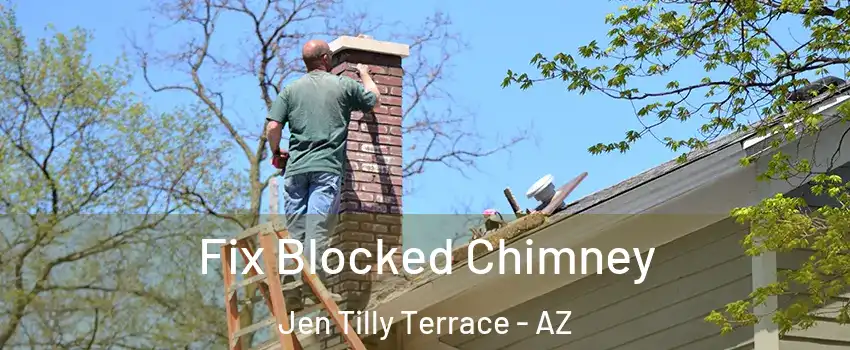 Fix Blocked Chimney Jen Tilly Terrace - AZ